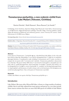 Trematocranus Pachychilus, a New Endemic Cichlid from Lake Malawi (Teleostei, Cichlidae)