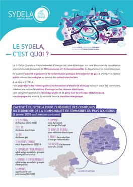 Le Sydela, C'est Quoi ?