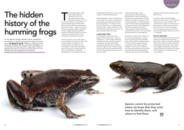 The Hidden History of the Humming Frogs