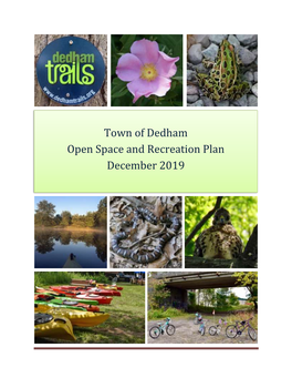 2019 Open Space and Recreation Plan
