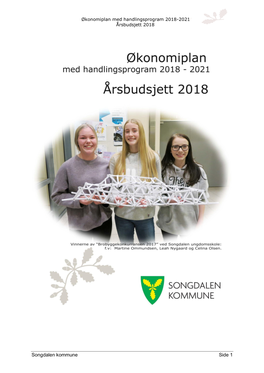 Songdalen Kommune Side 1 Økonomiplan Med Handlingsprogram 2018-2021 Årsbudsjett 2018