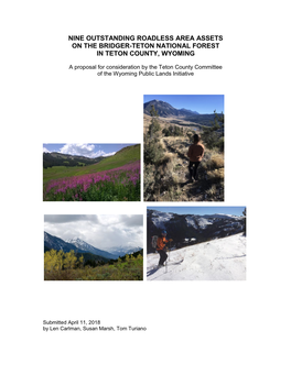 Nine Outstanding Roadless Area Assets on the Bridger-Teton National Forest in Teton County, Wyoming