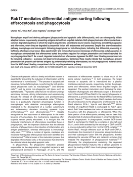 Rab17 Mediates Differential Antigen Sorting Following Efferocytosis and Phagocytosis