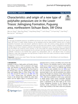 Characteristics and Origin of a New Type of Polyhalite Potassium Ore In