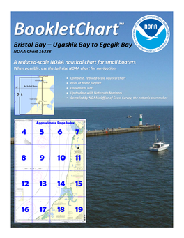 Bookletchart™ Bristol Bay – Ugashik Bay to Egegik Bay NOAA Chart 16338