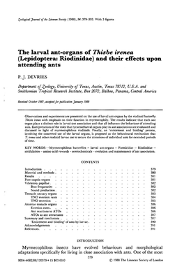 The Larval Ant-Organs of Thisbe Irenea
