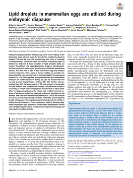 Lipid Droplets in Mammalian Eggs Are Utilized During Embryonic Diapause