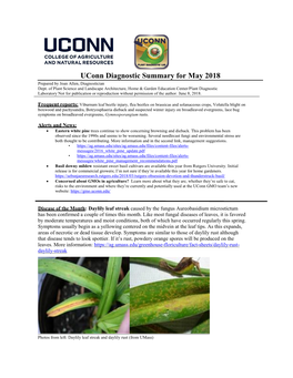 Uconn Diagnostic Summary for May 2018