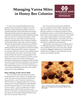 Managing Varroa Mites in Honey Bee Colonies