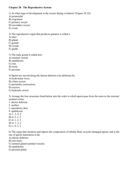 Chapter 28 the Reproductive System 1) at What Stage of Development Is the Oocyte During Ovulation?