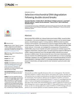 Selective Mitochondrial DNA Degradation Following Double-Strand Breaks