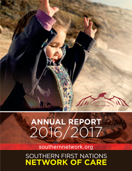 Annual Report 2016/2017