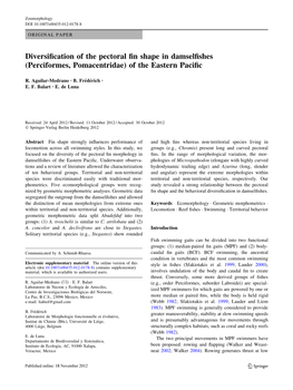 Diversification of the Pectoral Fin Shape In