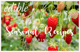Download Our Spring Recipe Ebook
