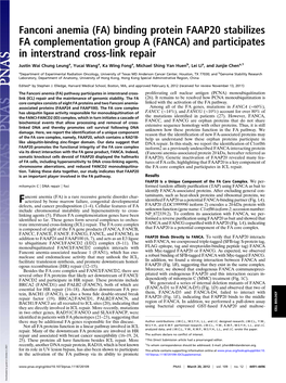 Fanconi Anemia (FA) Binding Protein FAAP20 Stabilizes FA Complementation Group a (FANCA) and Participates in Interstrand Cross-Link Repair