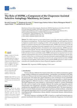 The Role of HSPB8, a Component of the Chaperone-Assisted Selective Autophagy Machinery, in Cancer