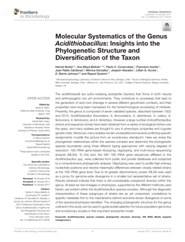 Molecular Systematics of the Genus Acidithiobacillus: Insights Into the Phylogenetic Structure and Diversiﬁcation of the Taxon