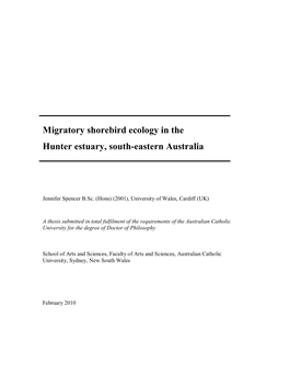 Migratory Shorebird Ecology in the Hunter Estuary, Sourth-Eastern