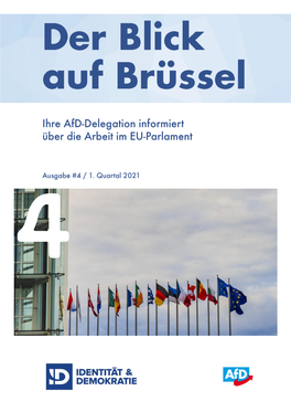 Ihre Afd-Delegation Informiert Über Die Arbeit Im EU-Parlament