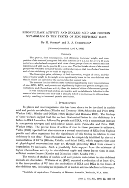 Ribonuclease Activity and Nucleic Acid and Protein Metabolism in the Testes of Zinc-Deficient Rats