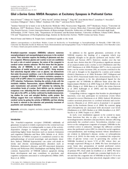 Glial D-Serine Gates NMDA Receptors at Excitatory Synapses in Prefrontal Cortex