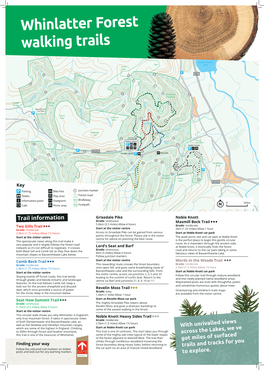 Whinlatter Forest Walking Trails