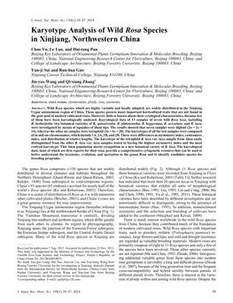 Karyotype Analysis of Wild Rosa Species in Xinjiang, Northwestern China