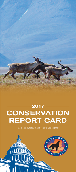 Conservation Report Card