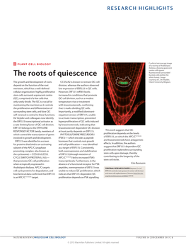 Plant Cell Biology: the Roots of Quiescence