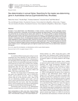 Sex Determination in Annual Fishes: Searching for the Master Sex-Determining Gene in Austrolebias Charrua (Cyprinodontiformes, Rivulidae)