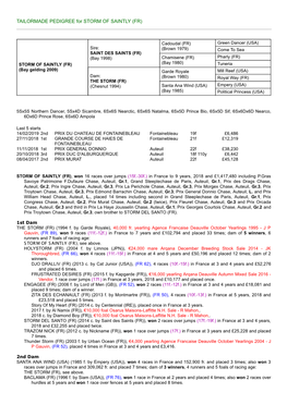 TAILORMADE PEDIGREE for STORM of SAINTLY (FR)