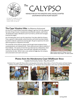 Calypso Newsletter of the Dorothy King Young Chapter California Native Plant Society