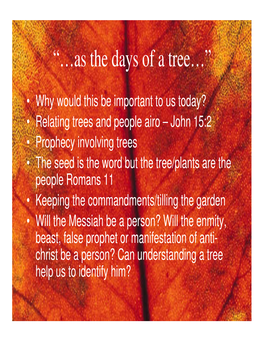 As the Days of a Tree.Pdf