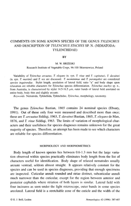 Comments on Some Known Species of the Genus Tylenchus and Description of Tylenchus Stachys Sp