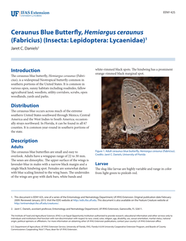 Hemiargus Ceraunus (Fabricius) (Insecta: Lepidoptera: Lycaenidae)1 Jaret C