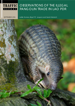 Observations of the Illegal Pangolin Trade in Lao PDR I TRAFFIC REPORT