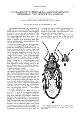 Natural History of the Flat Bug Aradus Gracilicornis in Fire-Killed Pines (Heteroptera: Aradidae)