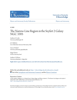 The Narrow-Line Region in the Seyfert 2 Galaxy NGC 3393