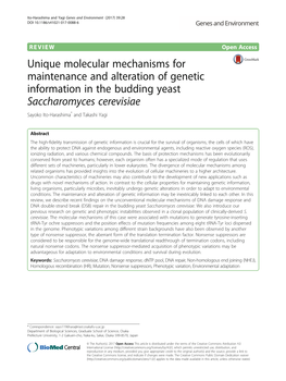 Unique Molecular Mechanisms for Maintenance and Alteration of Genetic Information in the Budding Yeast Saccharomyces Cerevisiae