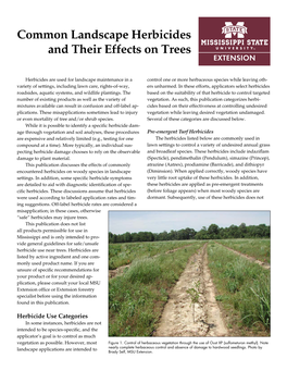 Common Landscape Herbicides and Their Effects on Trees