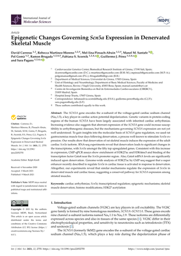 Epigenetic Changes Governing Scn5a Expression in Denervated Skeletal Muscle