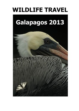 Ecuador & Galapagos