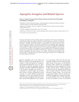 Aspergillus Fumigatus and Related Species