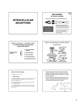 INTRACELLULAR RECEPTORS (For Lipid Soluble Messengers) Function in the Nucleus As Transcription Factors to Alter the Rate of Transcription of Particular Genes