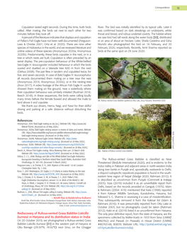 Rediscovery of Rufous-Vented Grass Babbler Laticilla