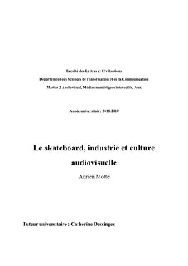 Le Skateboard, Industrie Et Culture Audiovisuelle