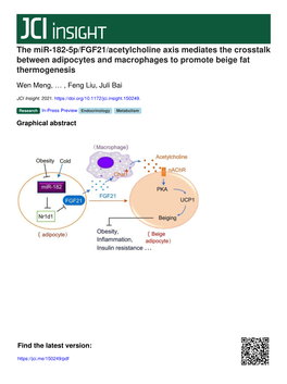 The Mir-182-5P/FGF21/Acetylcholine Axis Mediates the Crosstalk Between Adipocytes and Macrophages to Promote Beige Fat Thermogenesis