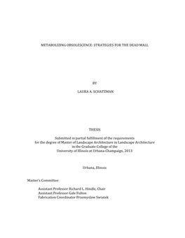 Metabolizing Obsolescence: Strategies for the Dead Mall