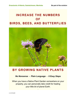 Increase the Numbers of Birds, Bees, and Butterflies