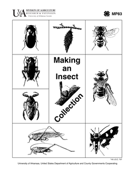 MAKING an INSECT COLLECTION by Dr